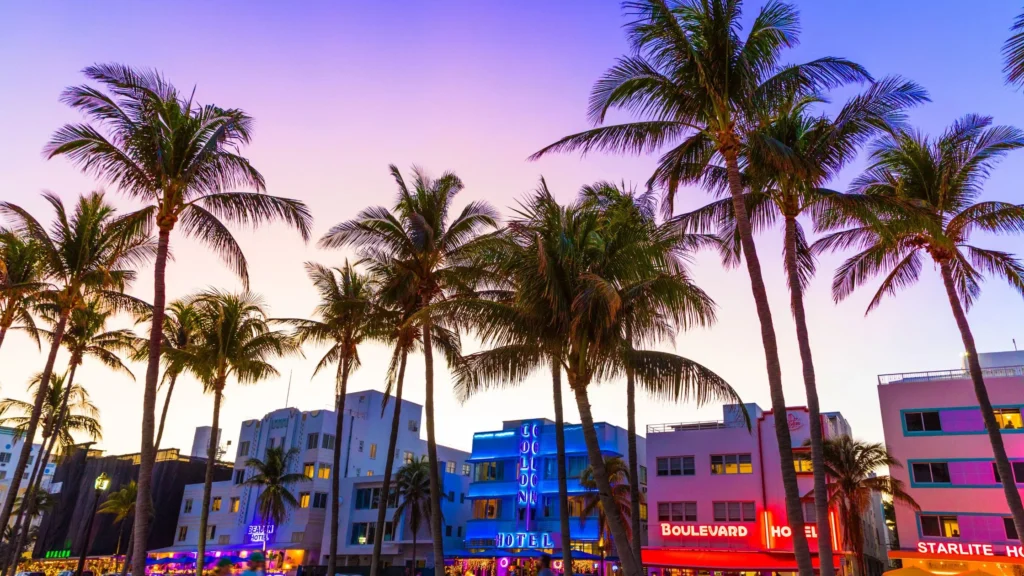 Fondo de Miami Beach, con 7 palmeras y de fondo edificos iluminados con luces azules, rojas y violetas
