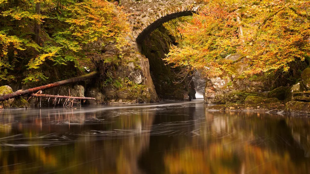 Puente de piedra arqueado sobre un río rodeado de árboles con hojas otoñales en tonos amarillos, naranjas y rojos. El agua refleja el colorido del bosque y fluye suavemente entre las rocas, creando un ambiente sereno y encantador.